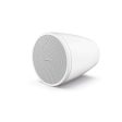 Enceinte suspendues Bose Designmax DM3P Hot on Sale