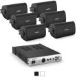 Bose Pack de sonorisation professionnelle IZA 250 avec 6 enceintes Bose Freespace FS2SE Online