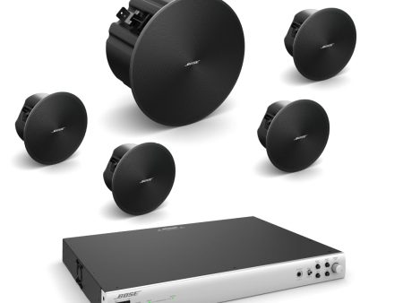 Pack Audio Bose Encastrable - Idéal pour Bars et Restaurants Online