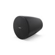 Enceinte suspendue Bose Designmax DM5P on Sale